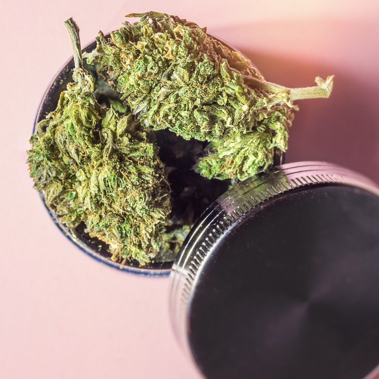 Purchase Weed in Stoney Creek | Cannabis Products Online